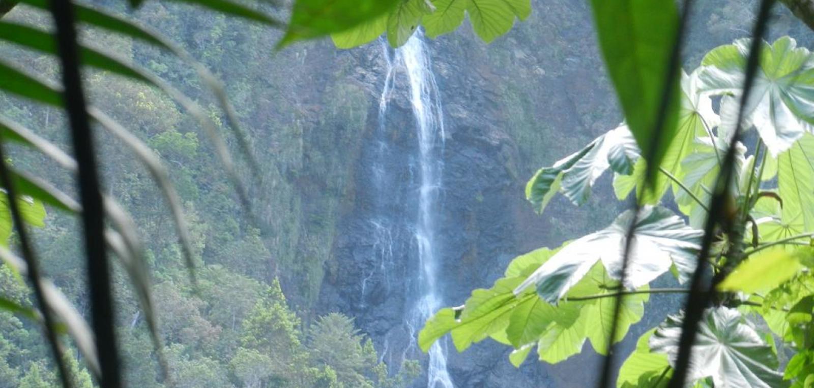 Nature: The peculiar Fine Waterfall