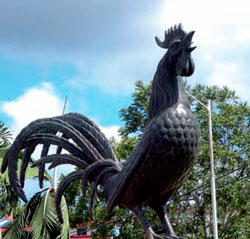 Rooster of Morón